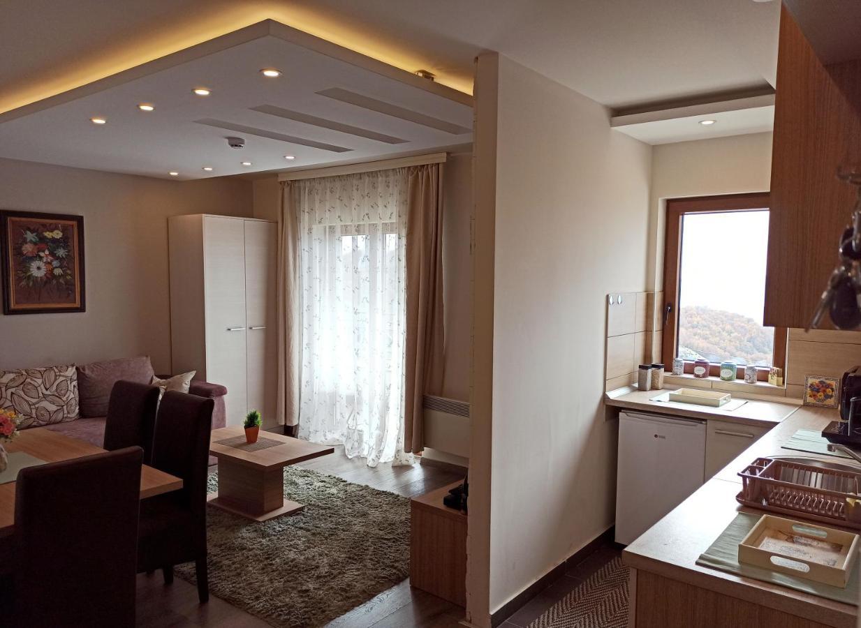 Modern Lux Apartment H8 At Milmari Resort Kopaonik Luaran gambar